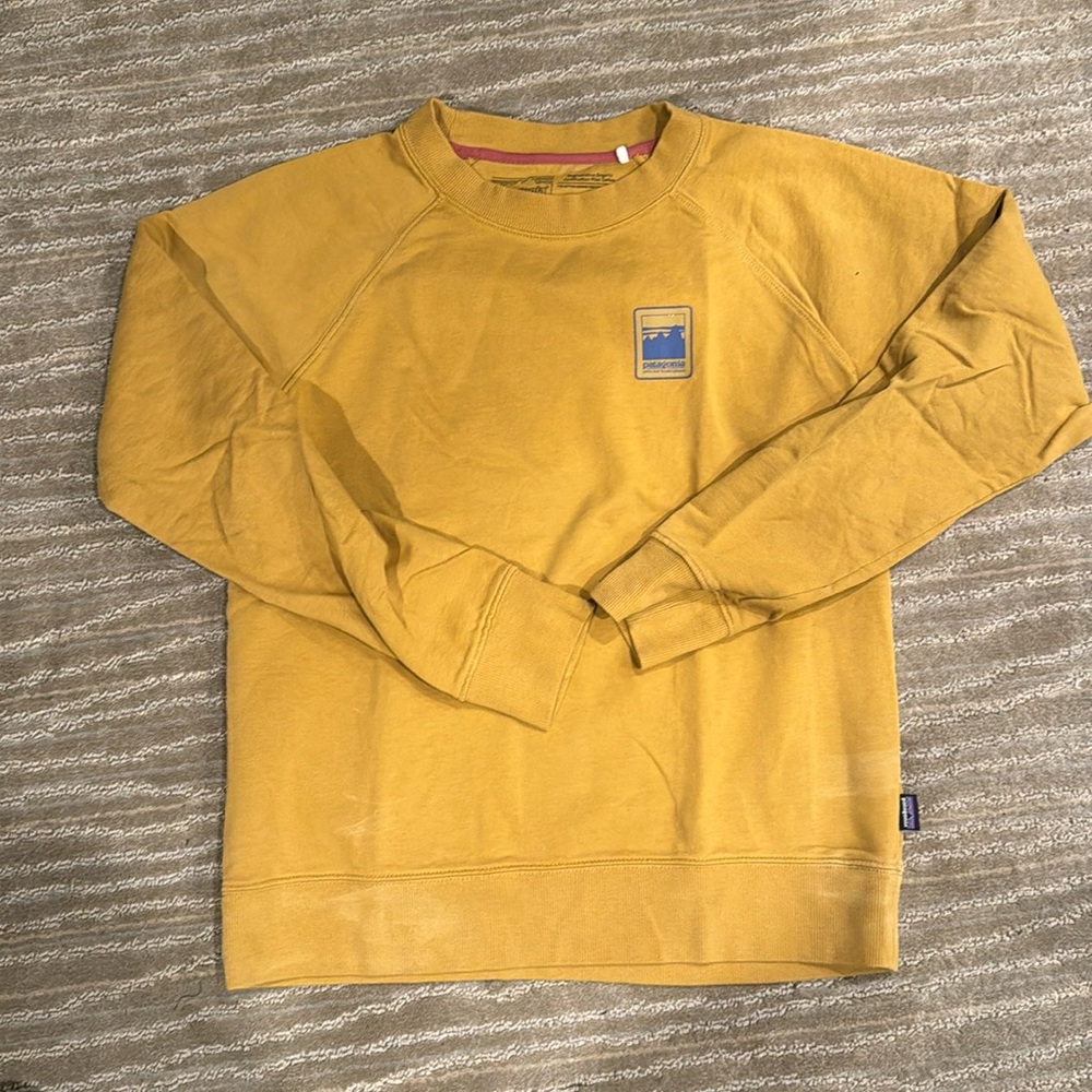 Patagonia Lightweight Sweatshirt - Medium